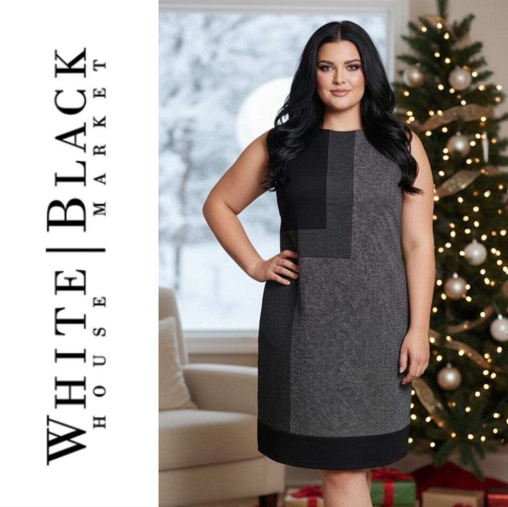NWT WHBM Dress